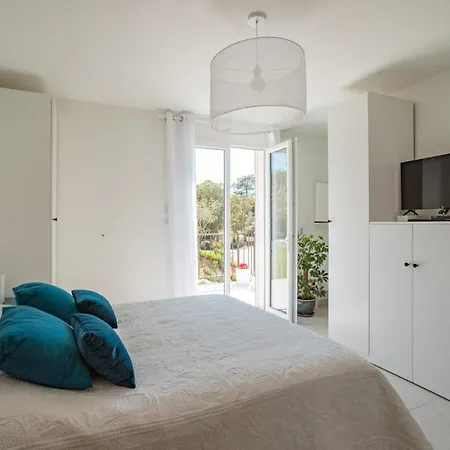 Sarraire * בורם-לה-מימוזה